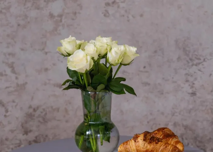 Elegant With Parking In By Renters *